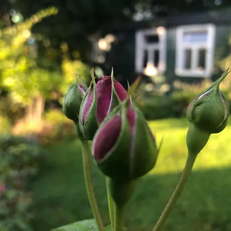 Rhoener Luft Apartman Bad Brückenau